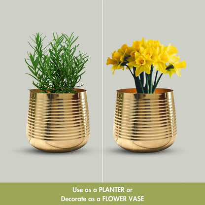 Compact Ribbed Golden Shade Planter Without Plant