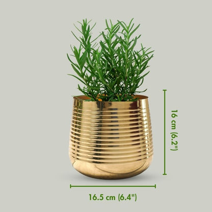 Compact Ribbed Golden Shade Planter Without Plant