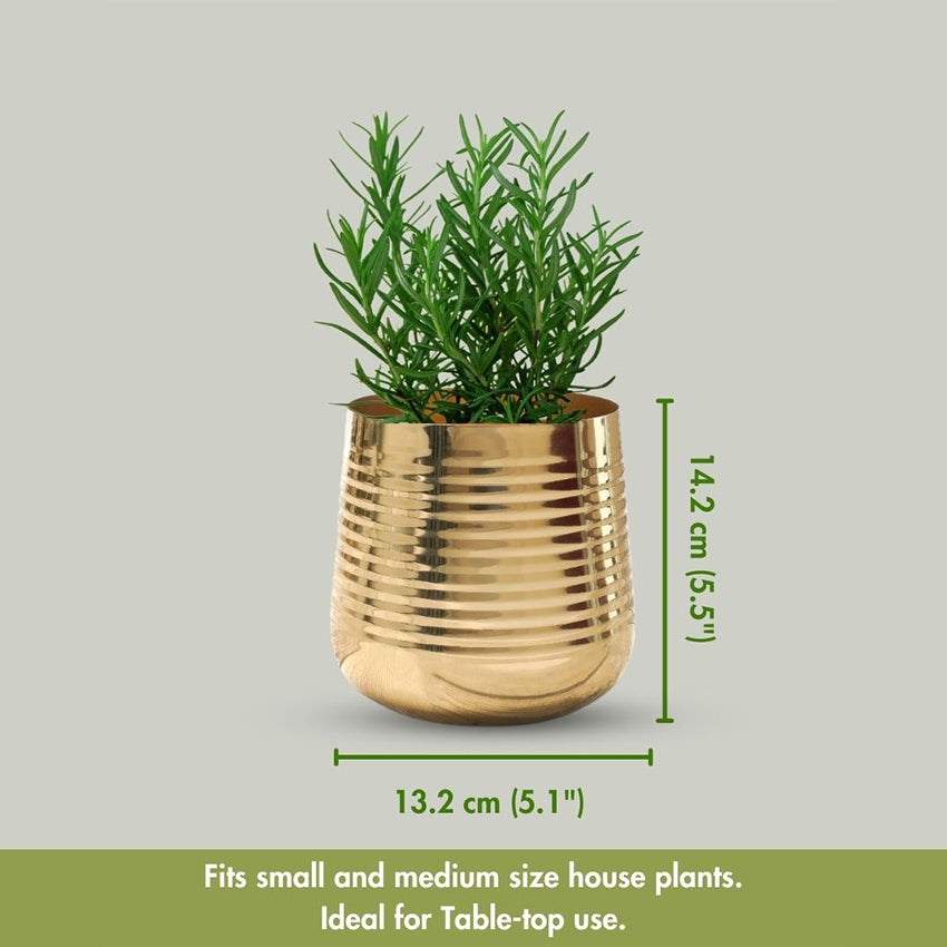 Compact Ribbed Golden Shade Planter Without Plant