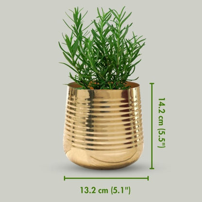 Compact Ribbed Golden Shade Planter Without Plant