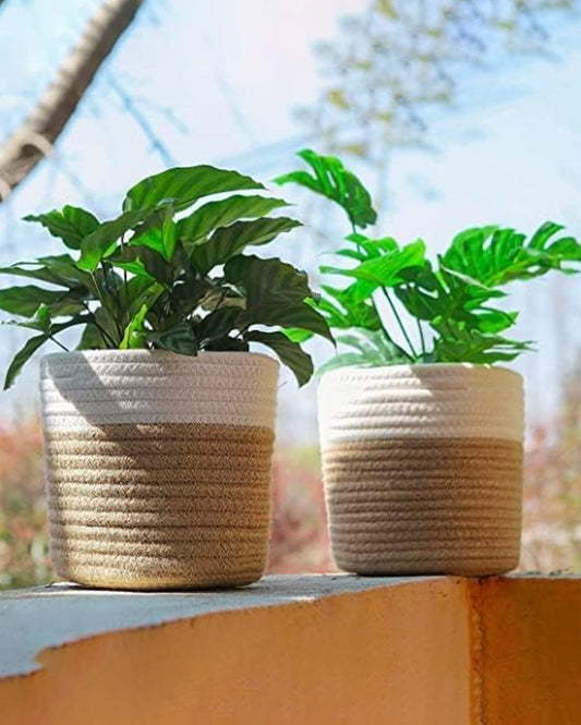 Stripe Cotton Rope Planter Baskets | Set Of 2 | 6 Inches