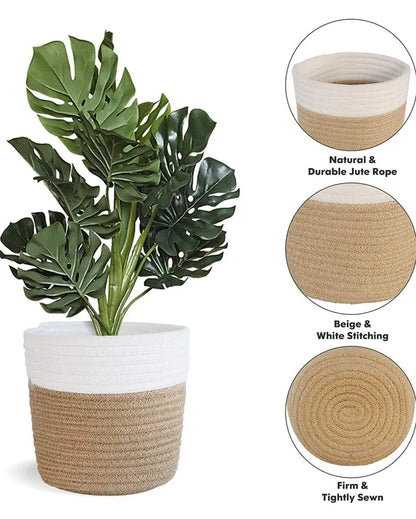 Stripe Cotton Rope Planter Baskets | Set Of 2 | 6 Inches