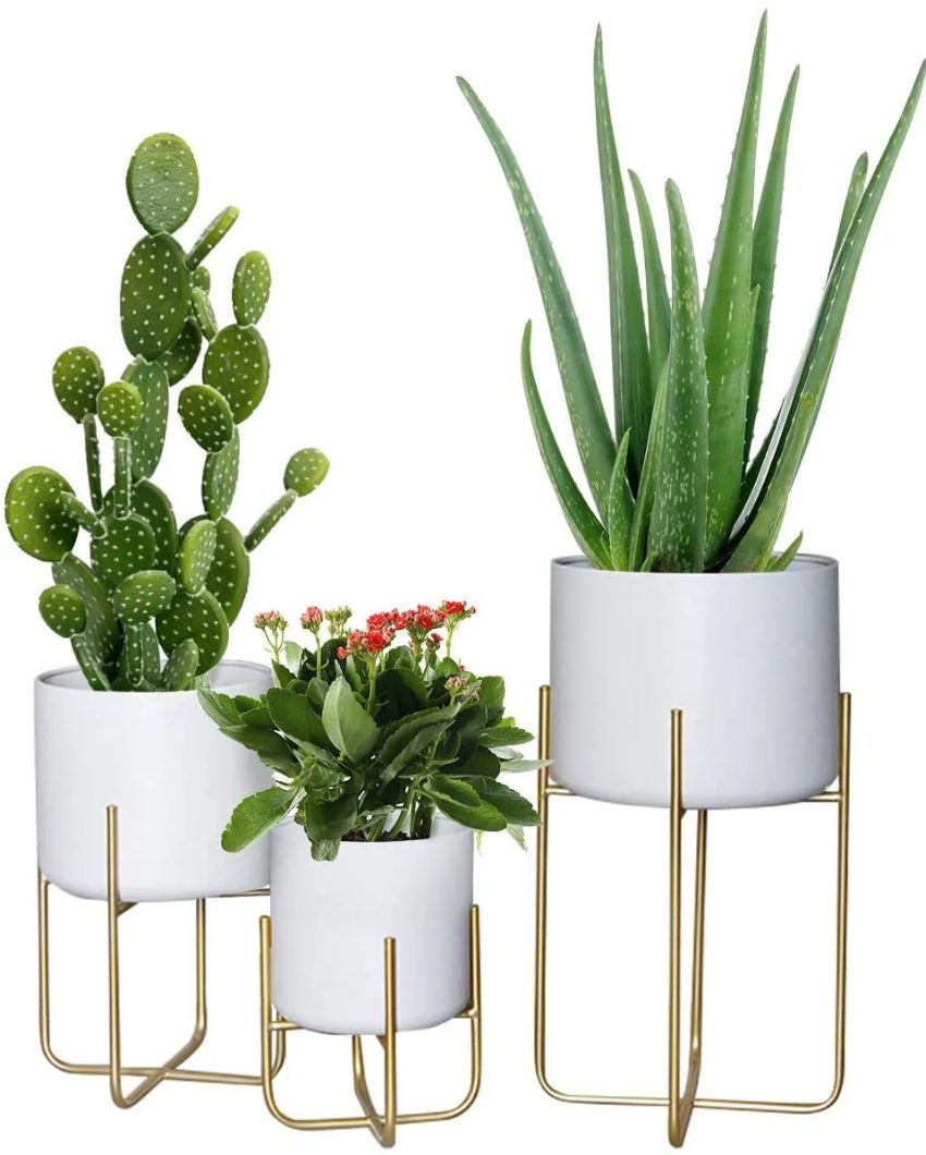 Sleek Elegance Metallic Finish Planter with Stand Without Plant | Pack of 3