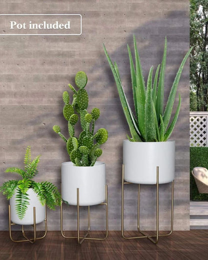 Sleek Elegance Metallic Finish Planter with Stand Without Plant | Pack of 3