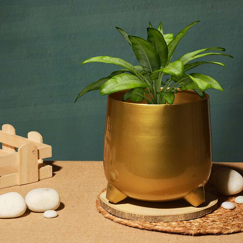 Classic Gold-Toned Solid Metal Planter With legs Default Title