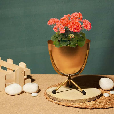 Matte Finish Golden Table Top Metal Planters With Stand  Default Title