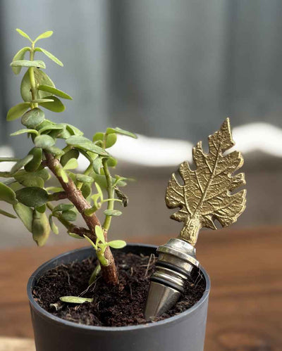 Stylish & Secure Patra Wine Stopper | 3 x 2 inches
