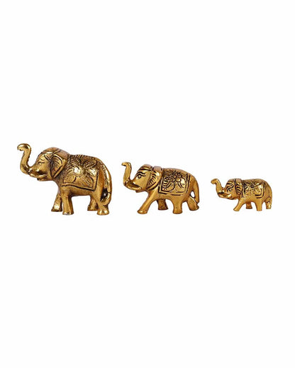 Elephant Family Showpiece | Set Of 3