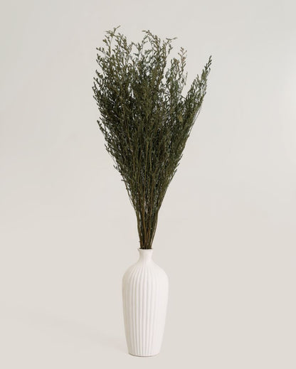 Saroi Ceramic Vase | Set of 3 White