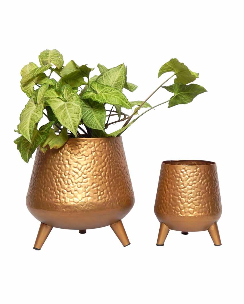 Orange Hazel Metal Planters Attached With Stand | Set of 2