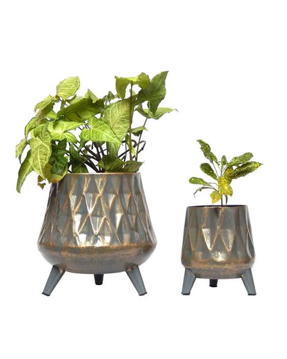 Grey Hazel Metal Planters Attached With Stand | Set of 2