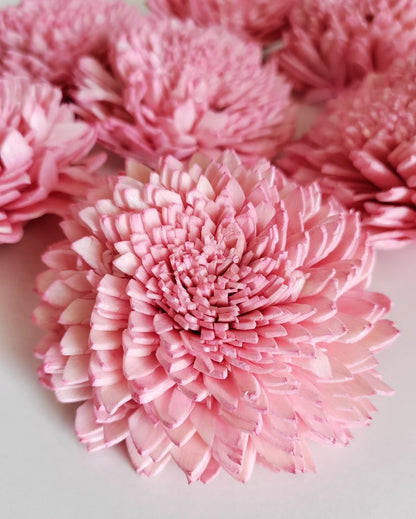 Pink Zinnia Sholapith DIY Flower Bunch | Vase Not Included  | 8 Flower Heads