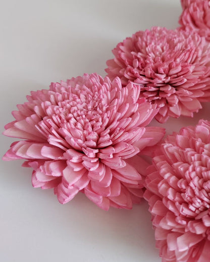 Pink Zinnia Sholapith DIY Flower Bunch | Vase Not Included  | 8 Flower Heads