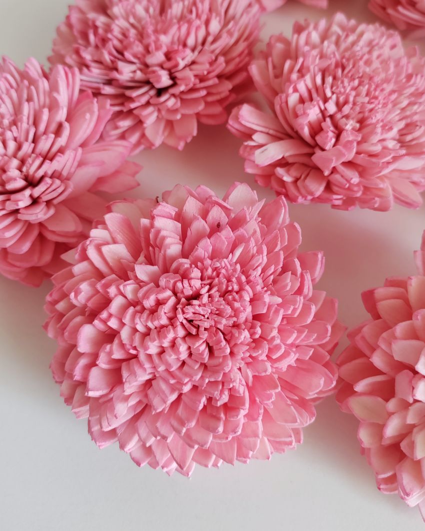 Pink Zinnia Sholapith DIY Flower Bunch | Vase Not Included  | 8 Flower Heads