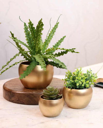 Elegant Apple Shape Planters | Set of 3 | Plant Not Included