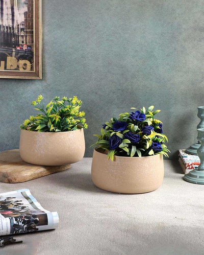 Modern Bowl Textured Planters | Set Of 2 | 5 x 3 inches