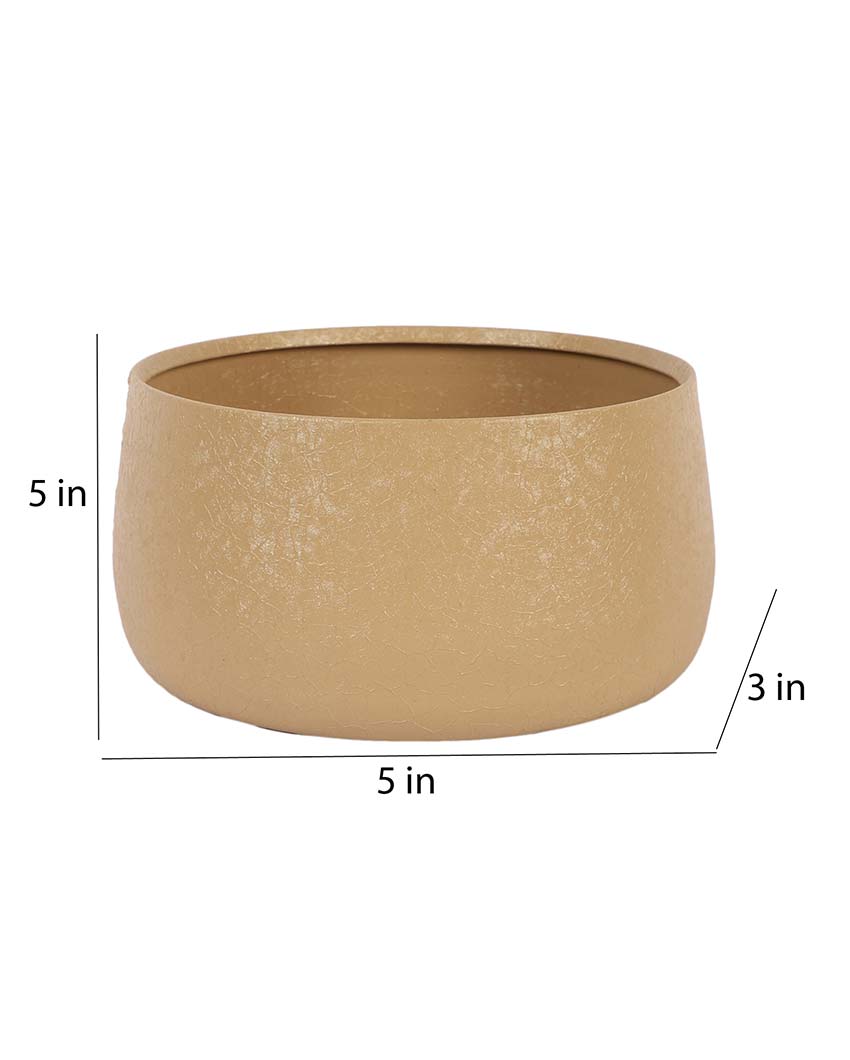 Modern Bowl Textured Planters | Set Of 2 | 5 x 3 inches