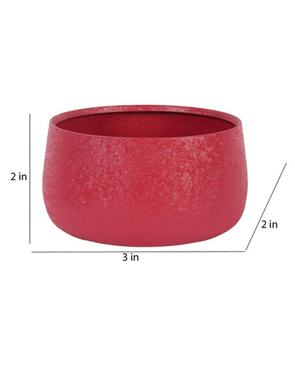 Modern Bowl Textured Planters | Set Of 2 | 5 x 3 inches