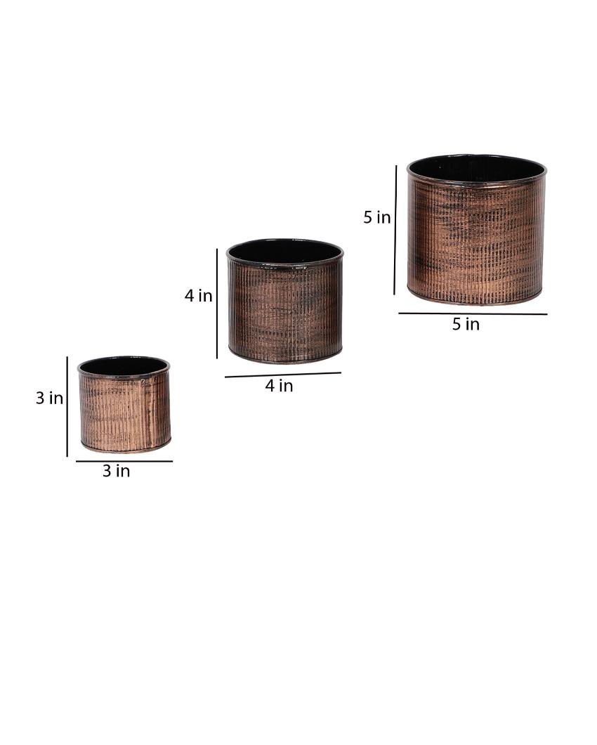 Copper Small Striped Iron Planters | Set of 3