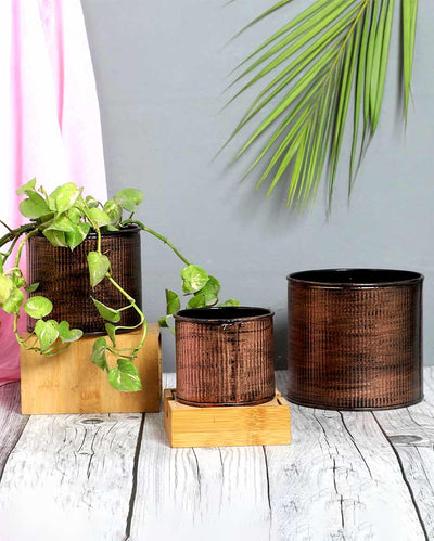 Copper Small Striped Iron Planters | Set of 3