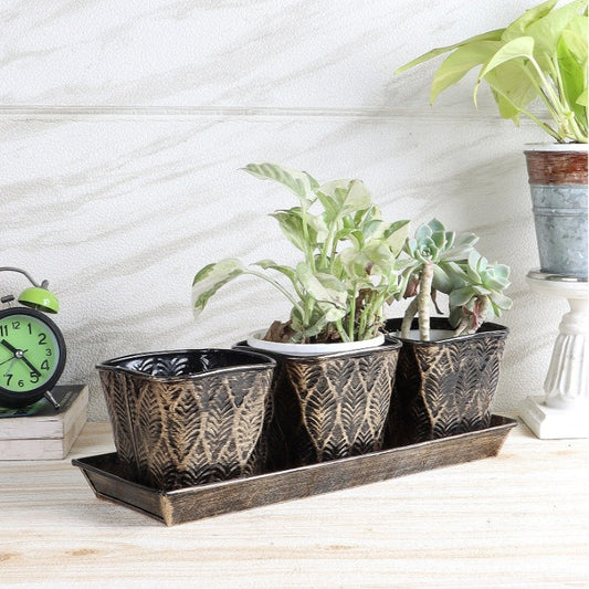 Black & Gold Metal Table Planters with Tray | Set of 4