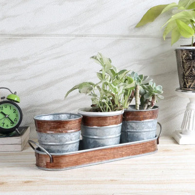 Brown & Silver  Table Planters with Tray | Set of 4 | Plant Not Included