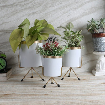 White & Gold  Votive Planter | Set of 3