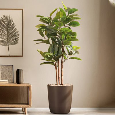 Tropical Artificial Rubber Tree in Black Pot
