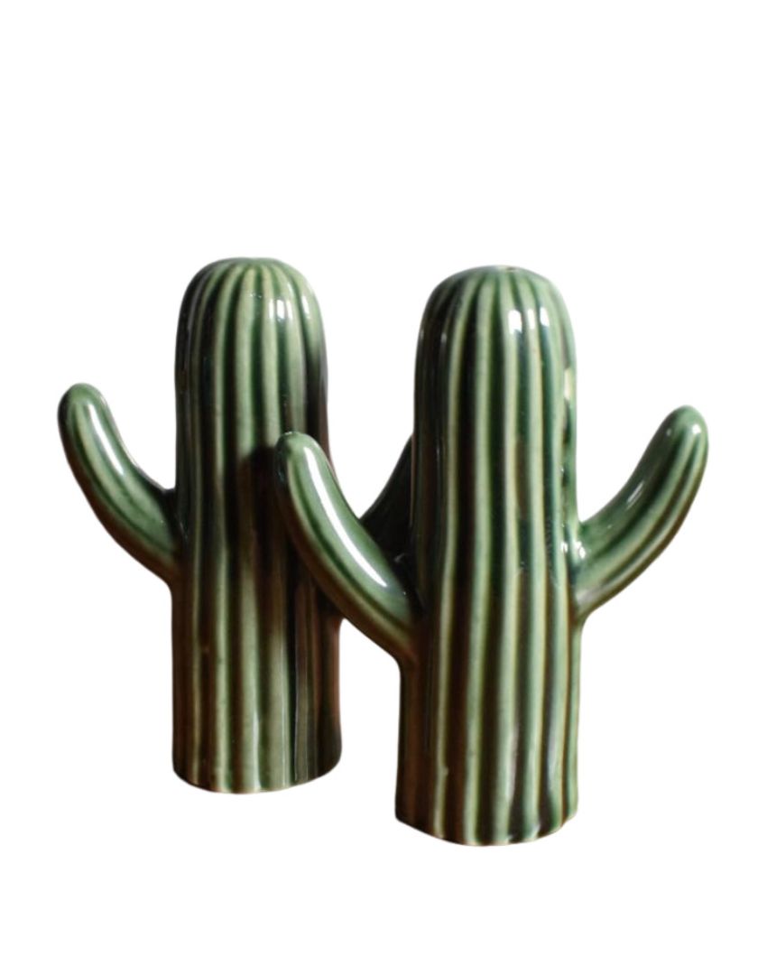 Cactus Ceramic Handcrafted Salt & Peppers Shakers | Set Of 2