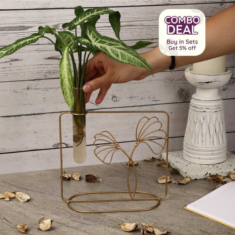 Leaf Stand Testube