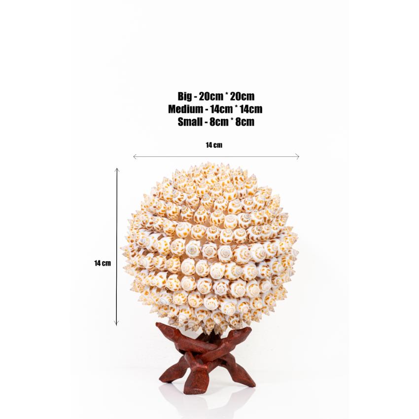 Unique Crafted Puramuttai White Shell Ball