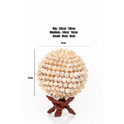 Unique Crafted Puramuttai White Shell Ball