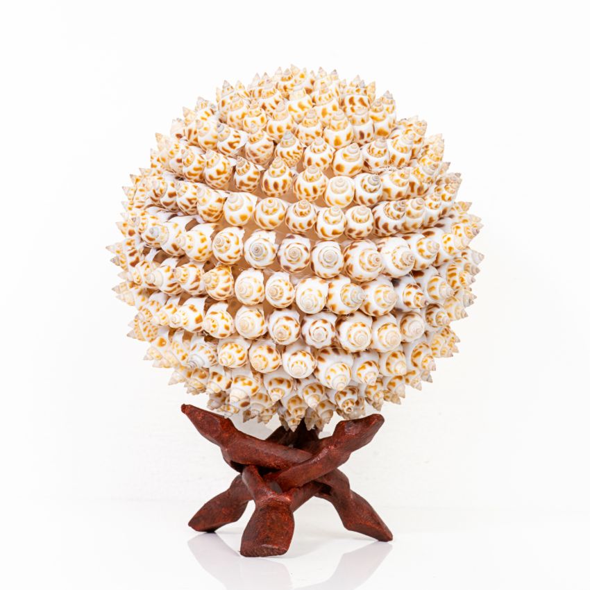 Unique Crafted Puramuttai White Shell Ball