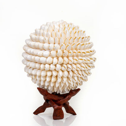 Beautiful Crafted Cowry White Shade Shell Ball