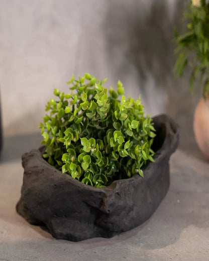 Elegant Textured Finish Stone Haven Concrete Planter | 9 x 7 x 4 inches