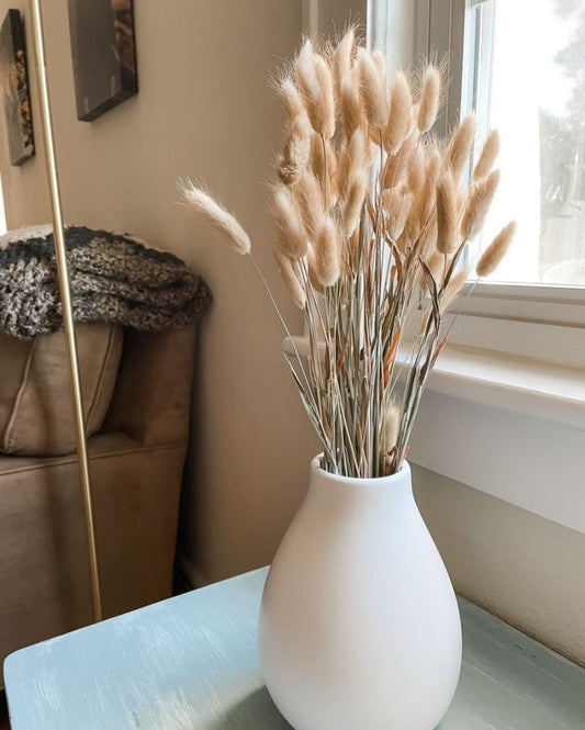 Dry Flower Bunny Tails For Vase Filler | 30stems