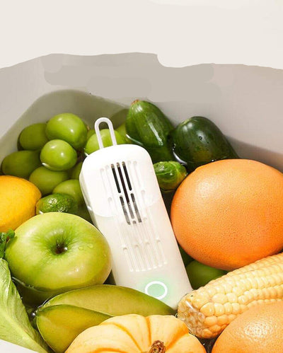 Multipurpose White Wireless Portable Cleaning Device For Vegetables and Fruits | 2 Modes