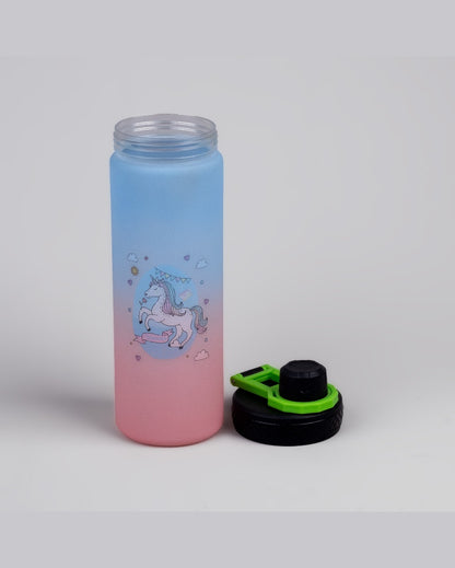 Vibrant Blue & Pink Plastic Water Bottles | 3 x 10 inches | 900ml