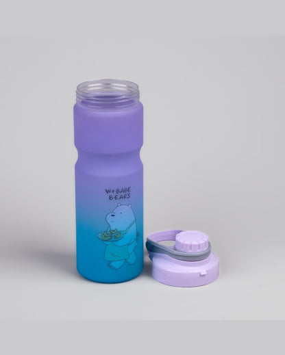 Elegant Purple & Blue Plastic Water Bottles | 3 x 10 inches | 900ml