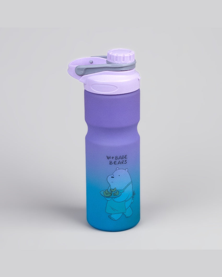 Elegant Purple & Blue Plastic Water Bottles | 3 x 10 inches | 900ml