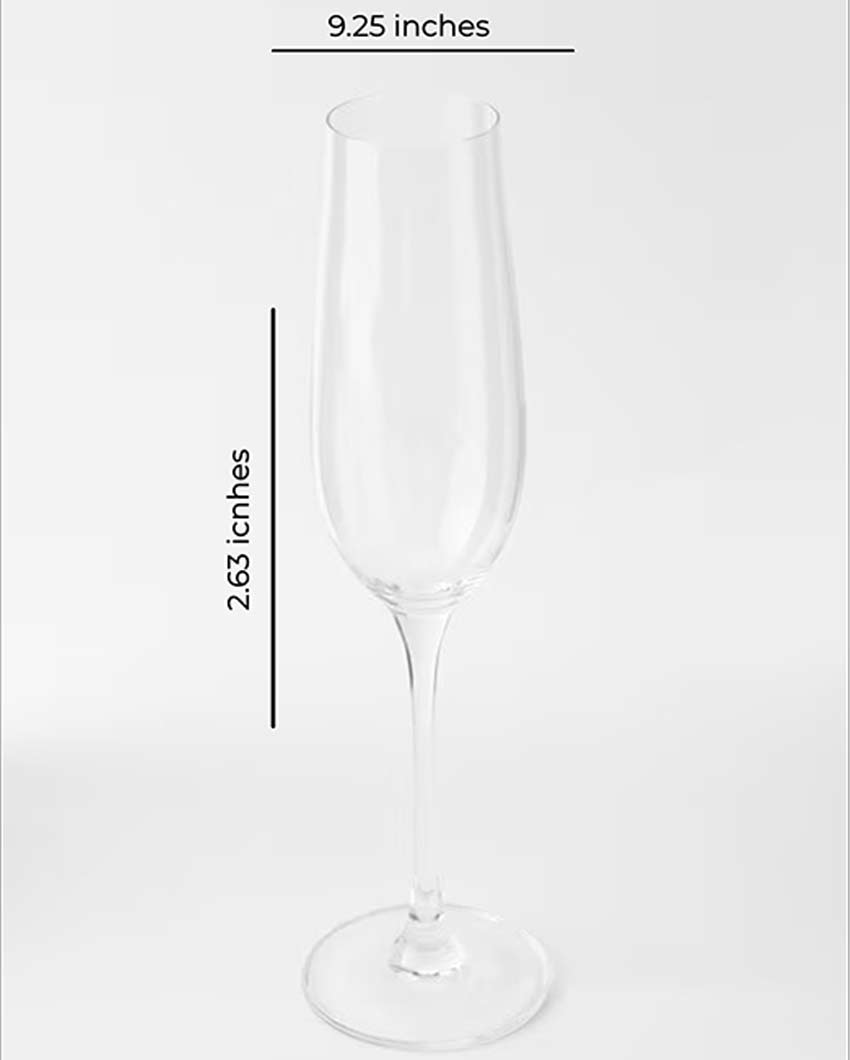 Beautiful Design Transparent Shade Champaign Glasses | Set of 6 | 3 x 9 inches | 230ml