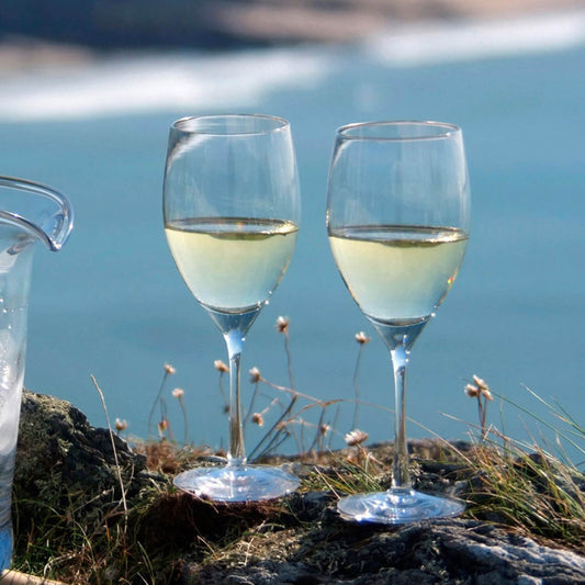 Dartington Wine Master White Wine Crystal Wine & Champagne Glasses | Set of 2