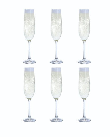 Elegant Crystal Flute Champagne Glasses | 2 x 9 inches | Set of 6 | 190ml