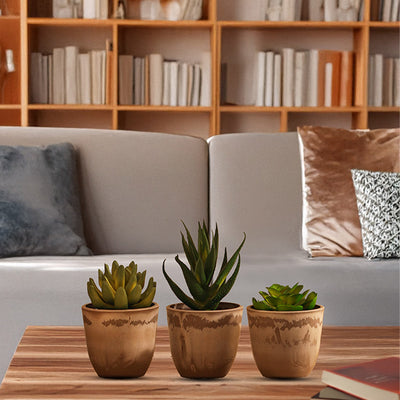 Charming Artificial Potted Succulents Plants | Set of 3 | 3 x 6 inches