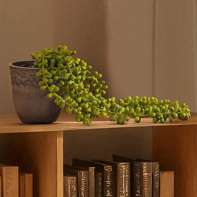 Graceful Artificial Hanging Succulent Vine | 4 x 8 inches