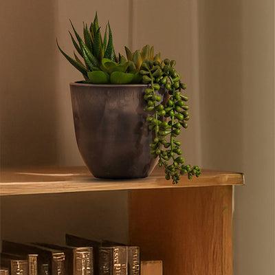 Lush Artificial Potted Succulent Plant | 5 x 8 inches