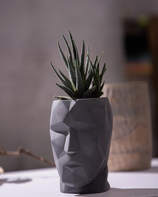 Trendy Unique Style Skull N Vogue Concrete Planter | 5 x 4 x 3 inches