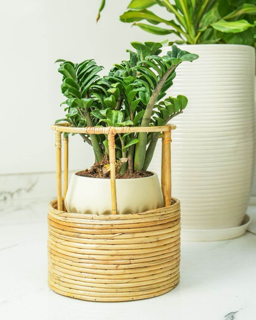 Tikli Half 'N' Half Planter Stand | 10 x 13 inches