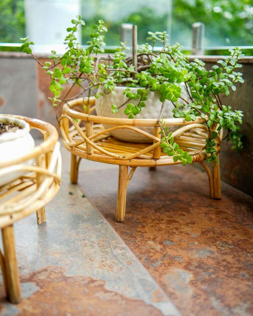 Rattan Bonsai Planter Stand | 15 x 9 inches