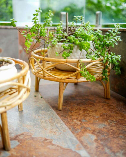 Rattan Bonsai Planter Stand | 15 x 9 inches